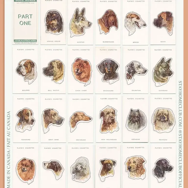SHC SHC Dogs' Head Mega Sticker Sheet