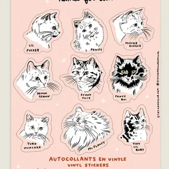 SHC SHC Names For Cats Mega Sticker Sheet