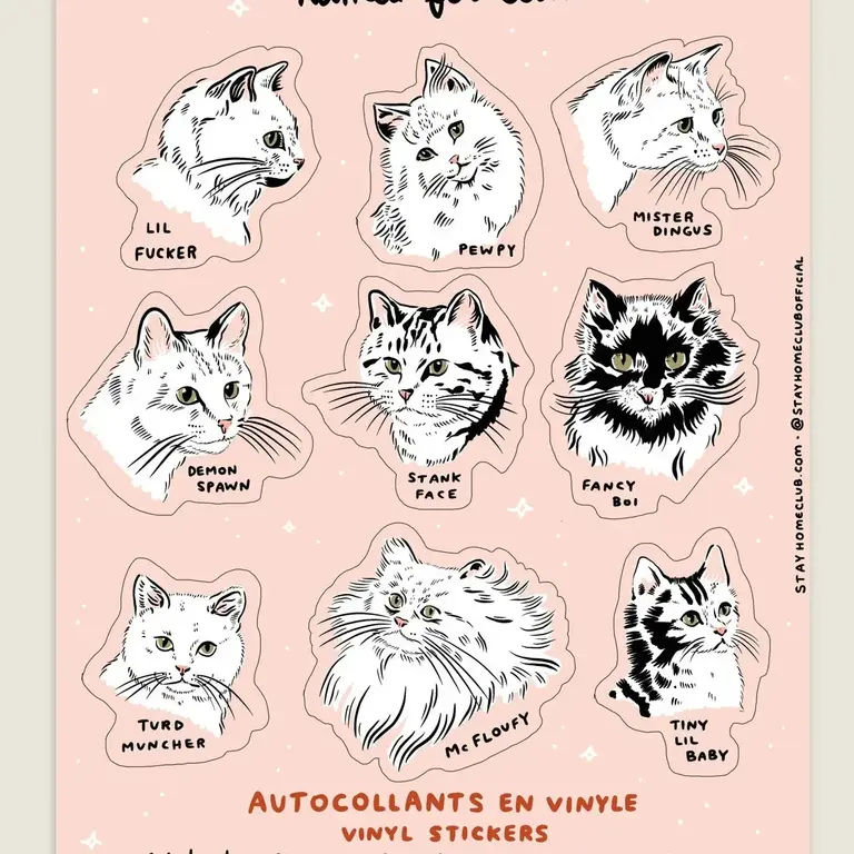 SHC SHC Names For Cats Mega Sticker Sheet