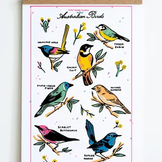 SHC SHC Australian Birds Print 12x18" (Unframed)