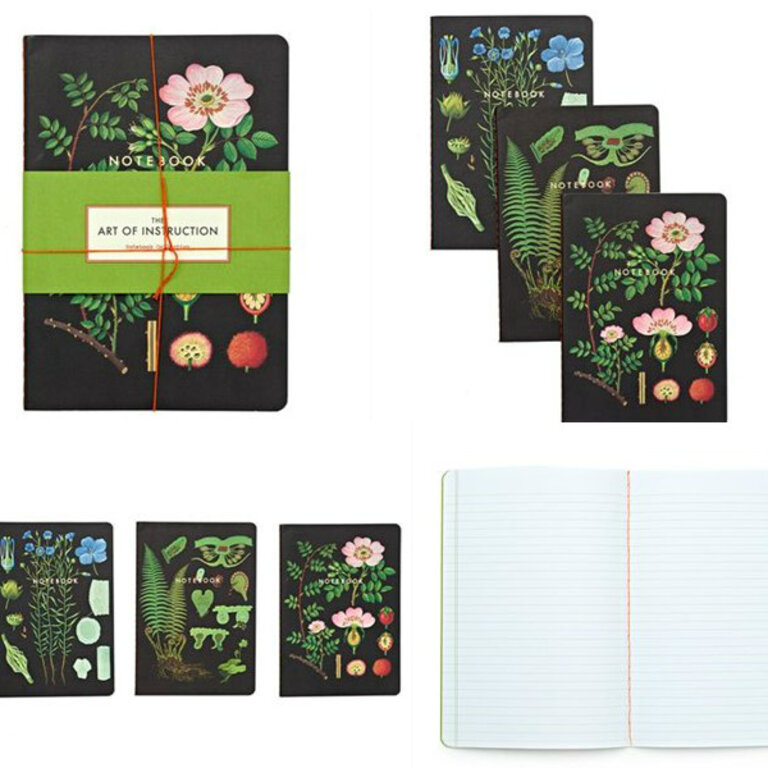 Raincoast Books Raincoast Art Of Instruction Notebook Collection