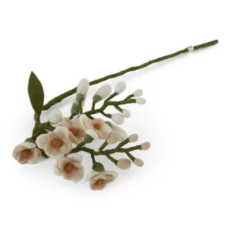 EGS EGS Wisteria White