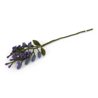 EGS EGS Fair Trade Wisteria Purple