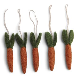 EGS EGS - Fair Trade Carrots Set/5