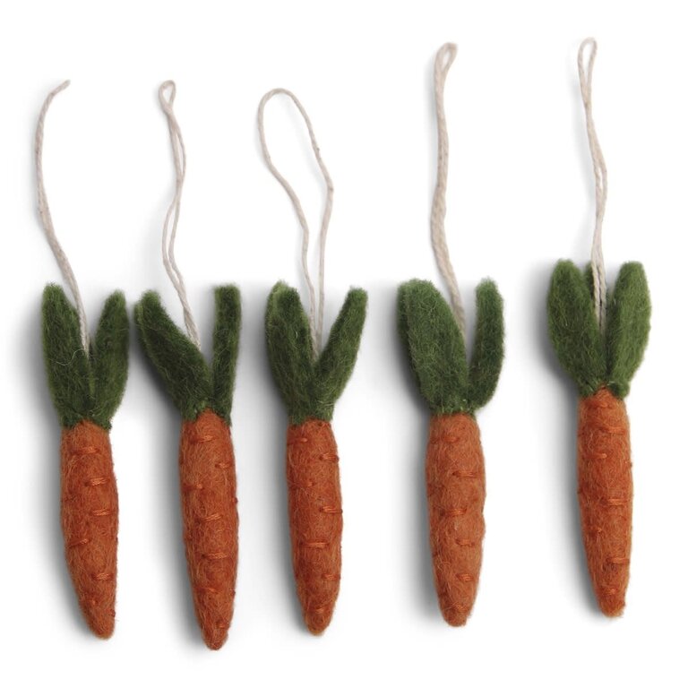EGS EGS - Fair Trade Carrots Set/5
