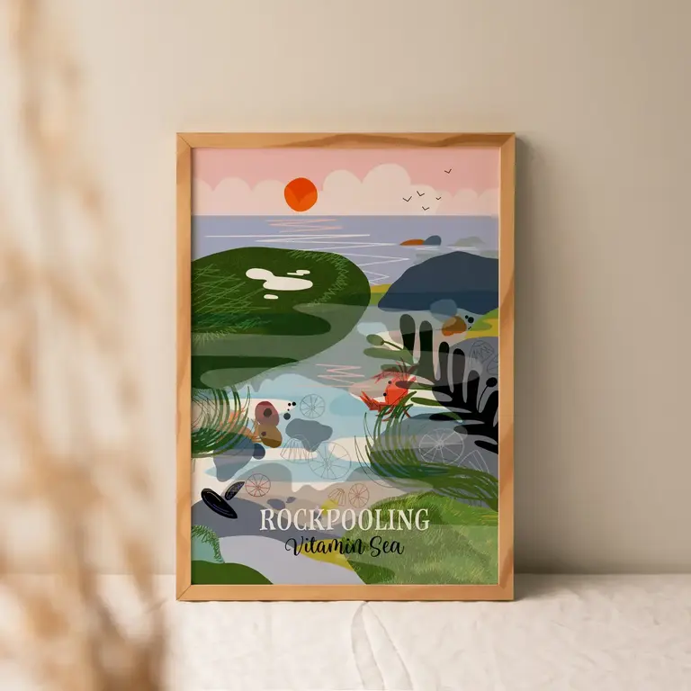 Onneke Onneke Rockpooling A4 Print (Unframed)