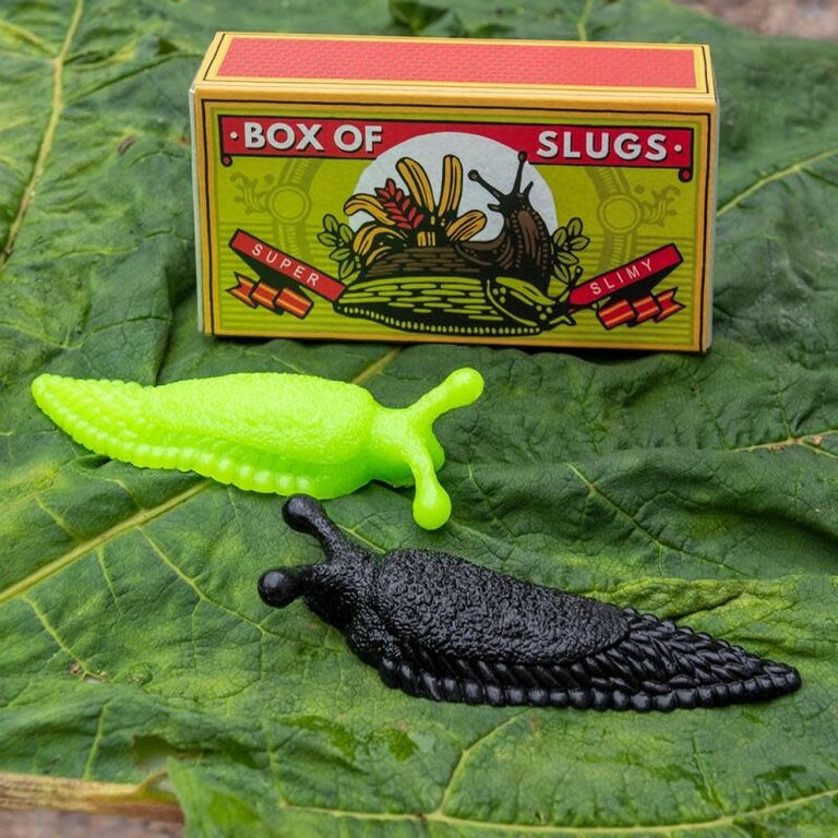 Rex London Rex London Box of Slugs (2)