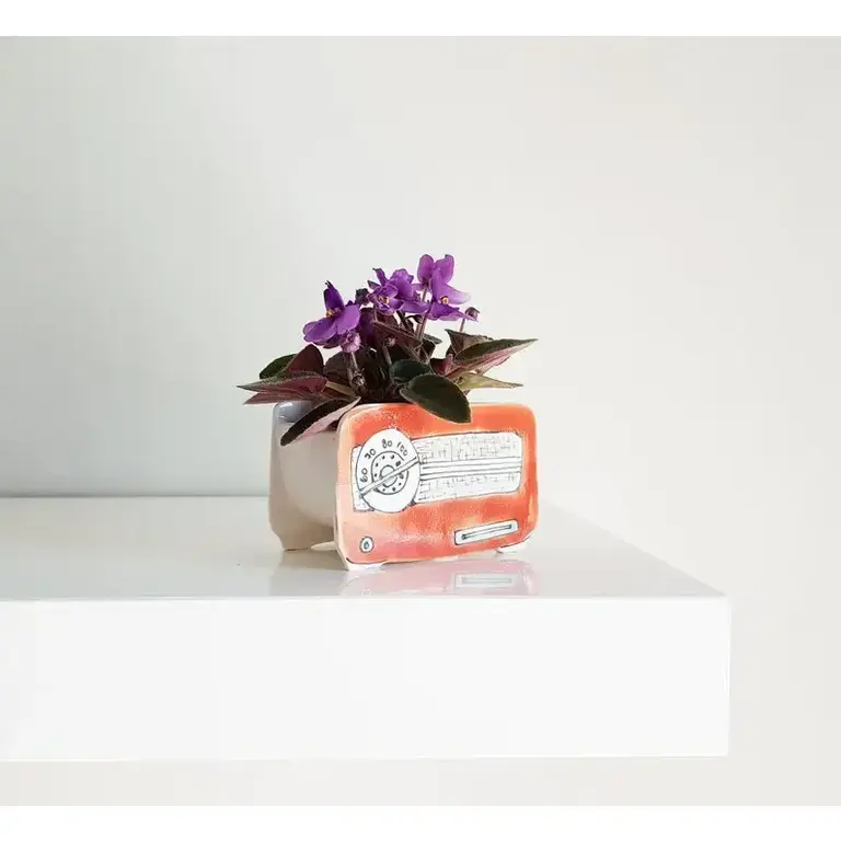 Julie Richard Julie Richard Vintage Radio Planter - Small (Assorted)
