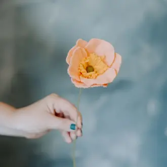 Fleurish Fleurish Icelandic Poppy Peach