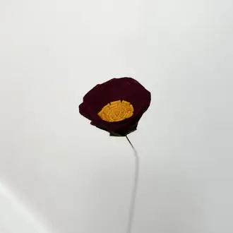 Fleurish Fleurish  Felt Teacup Rose Burgundy (Single)