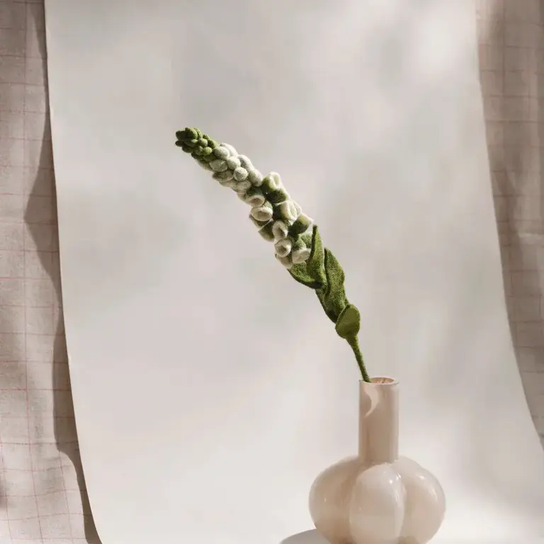 EGS EGS  Fair Trade Foxglove White