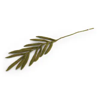 EGS EGS Fair Trade Palm Leaf Branch Green