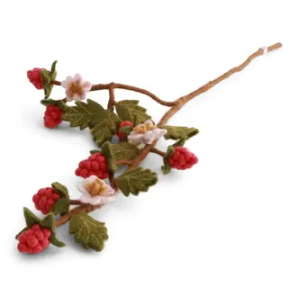 EGS EGS Fair Trade Raspberry Branch