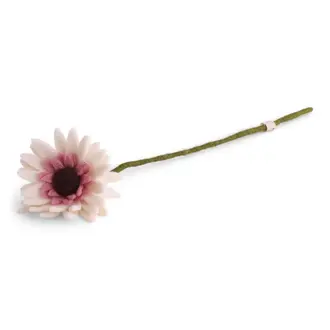 EGS EGS Fair Trade Gerbera White
