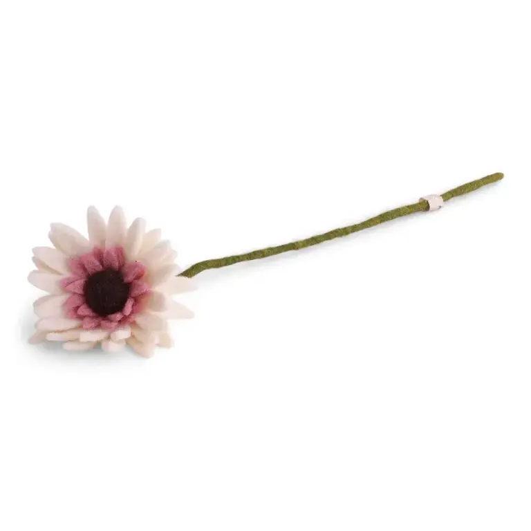 EGS EGS Fair Trade Gerbera White