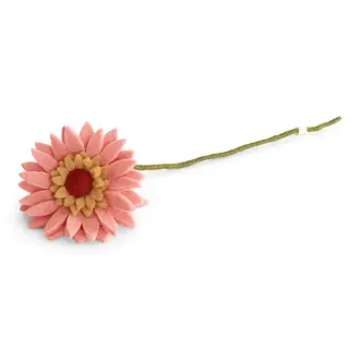 EGS EGS Fair Trade Gerbera Light Peach