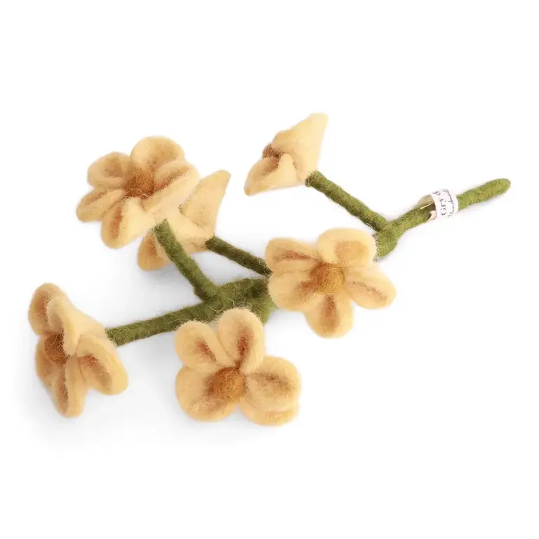 EGS EGS Forget-Me-Not Light Yellow