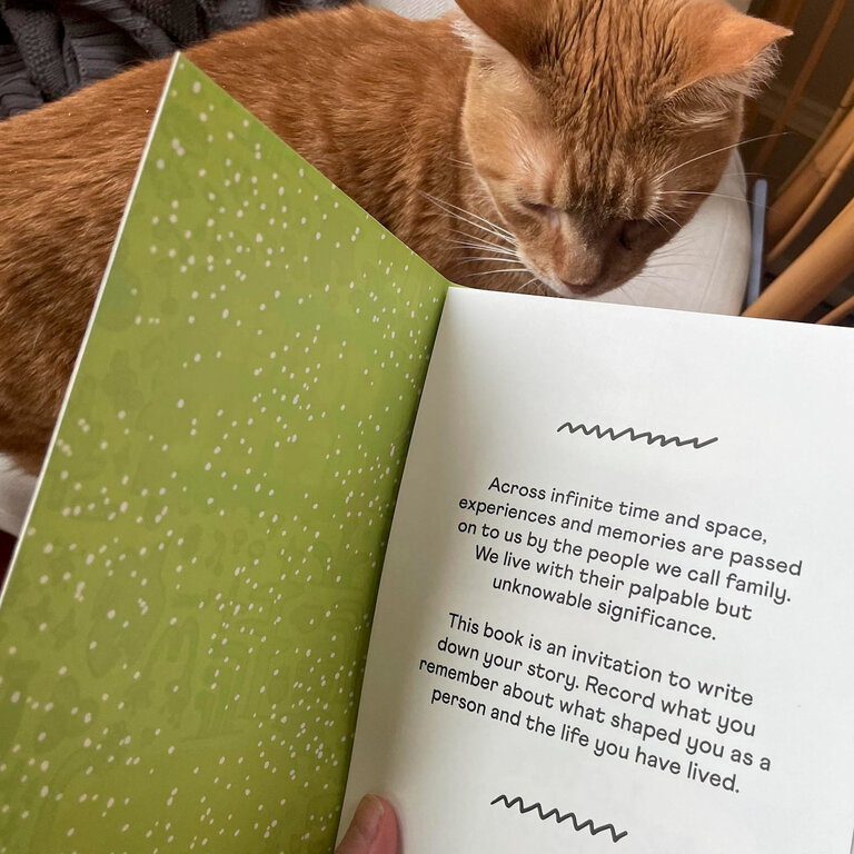 People I've Loved PIL Stories We Tell Guided Journal