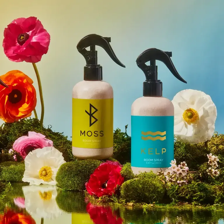 Kala Style Kala Hallo Iceland Moss Room Spray