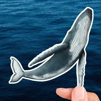 Owl & Bear Owl & Bear Humpback Whale Eco-Vinyl Sticker
