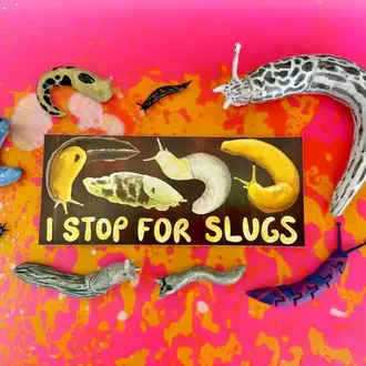 Owl & Bear Owl & Bear I Stop For Slugs Bumper Sticker