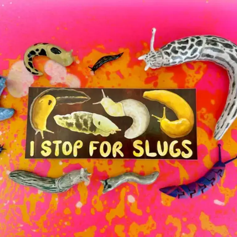 Owl & Bear Owl & Bear I Stop For Slugs Bumper Sticker
