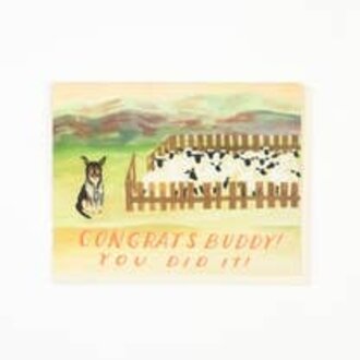 Small Adventure Small Adventure -Sheep Dog Congratulations Card