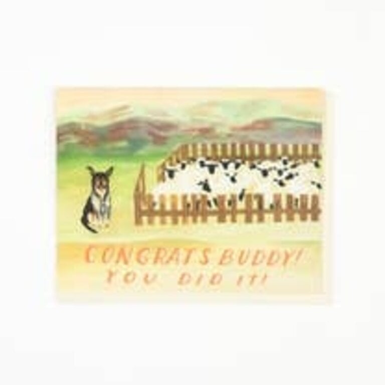 Small Adventure Small Adventure -Sheep Dog Congratulations Card