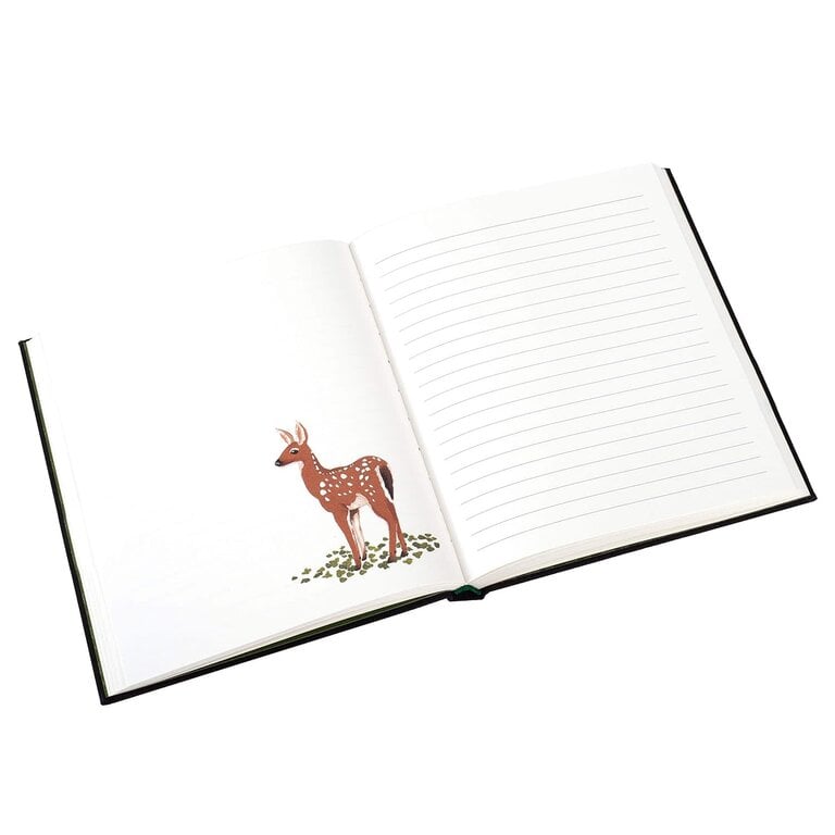 Raincoast Books Raincoast Woodland Journal