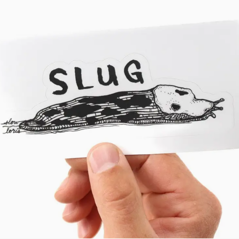 Slow Loris Slow Loris Slug Sticker