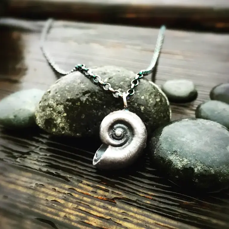 Morning Moon Nautilus Shell Pendant Frosted Sterling Silver