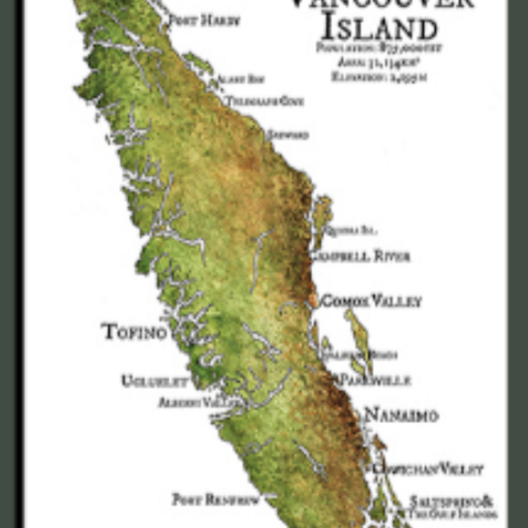 Yellow Canary - Vancouver Island Postcard