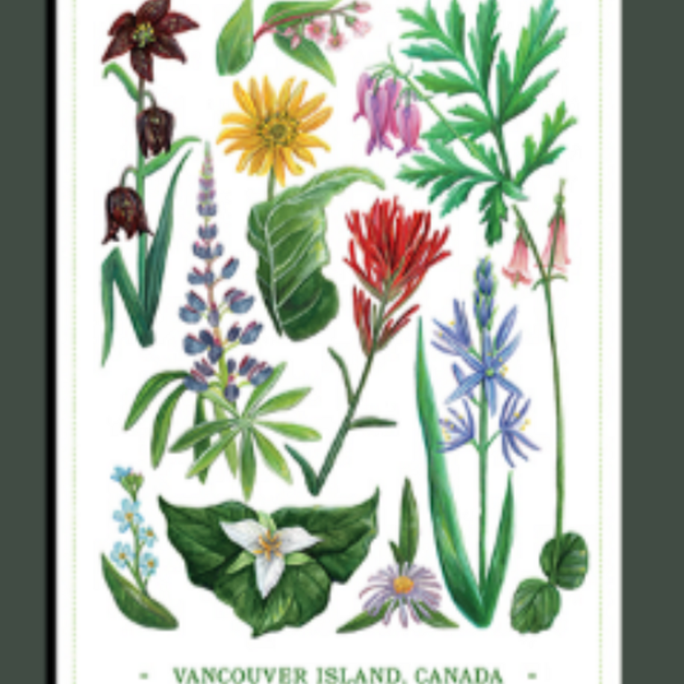Yellow Canary - Wildflowers of Vancouver Island Postcard