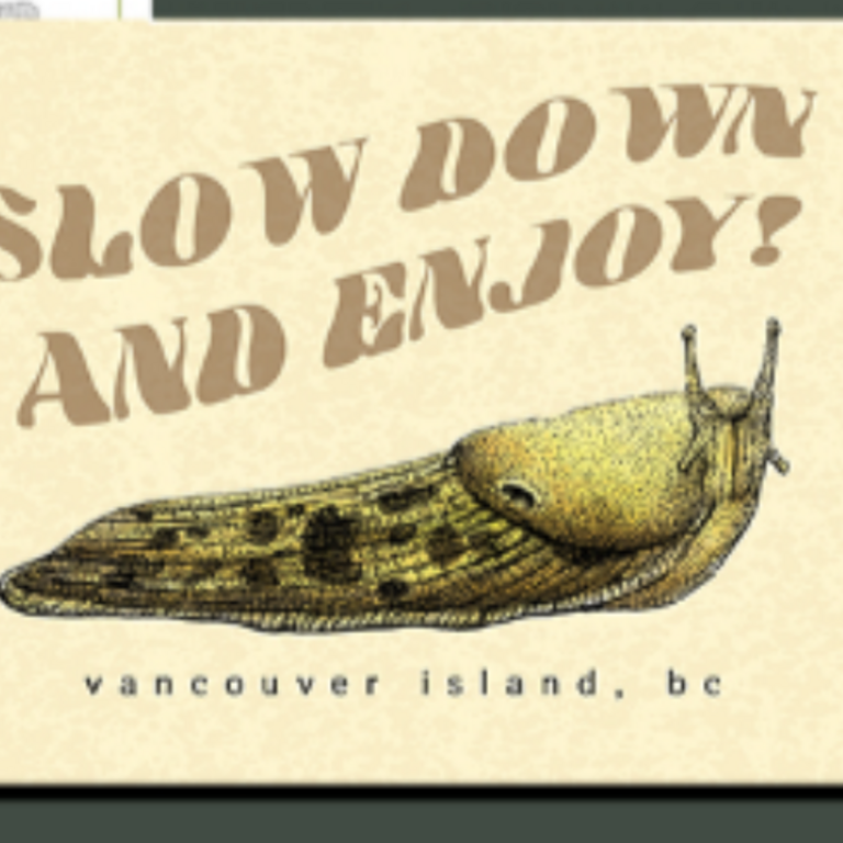 Yellow Canary - Slow Down and Enjoy Postcard