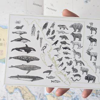 Yellow Canary - BC Species Map Postcard