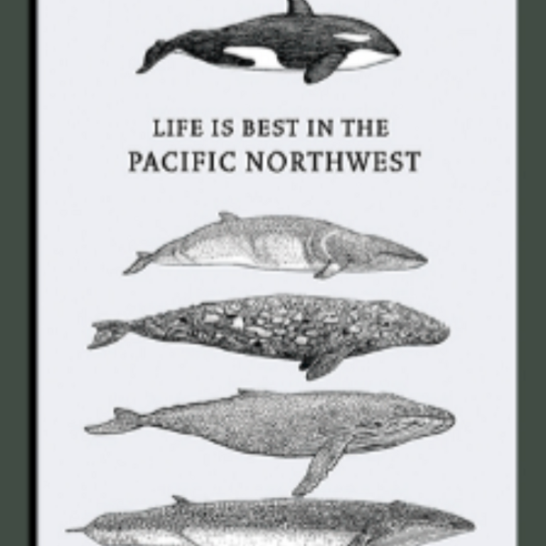 Yellow Canary - PNW Whales Postcard