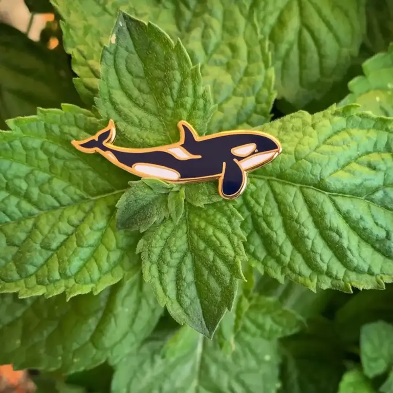 Owl & Bear Owl & Bear Orca Enamel Pin