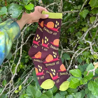Owl & Bear Owl & Bear Bamboo Snailed It Socks