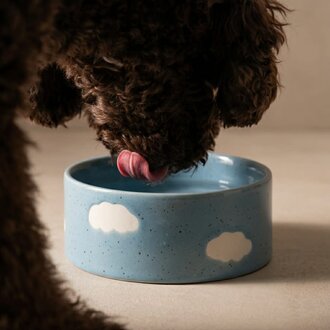 EBH EBH Cloud Pet Bowl 14cm Set/2
