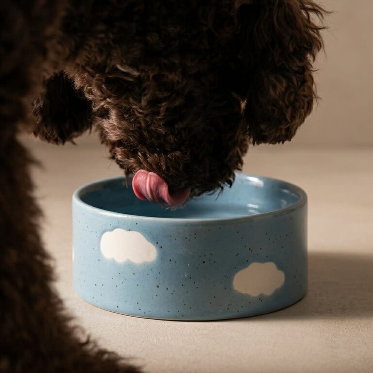 EBH EBH Cloud Pet Bowl 14cm Set/2