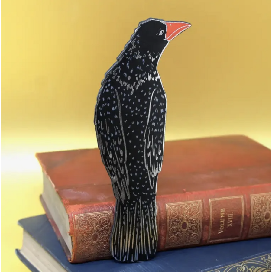 Reading Accessories