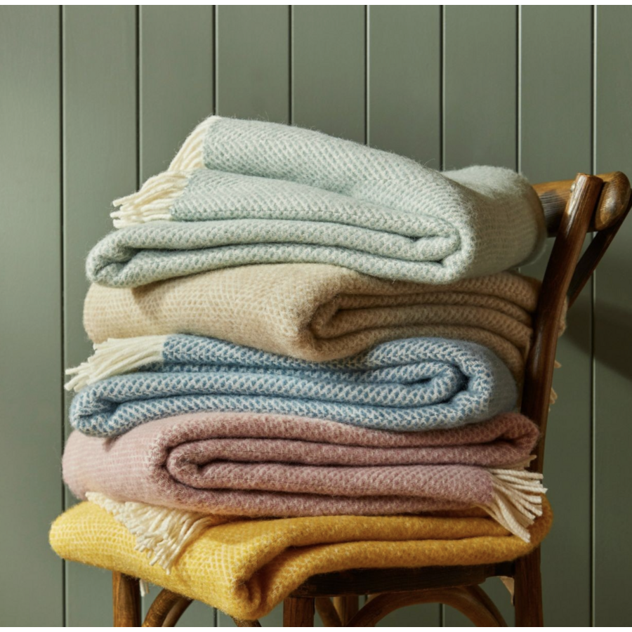 Blankets & Cushions