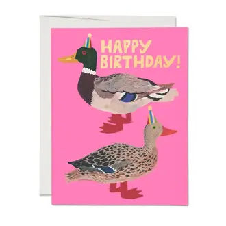 Red Cap Cards Red Cap Quacky Birthday Card