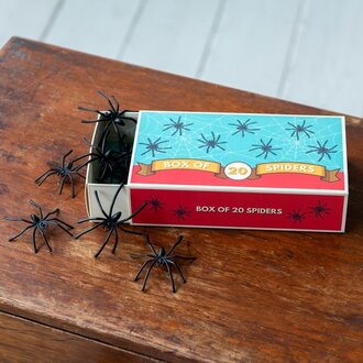 Rex London Rex London Box of Spiders (20)
