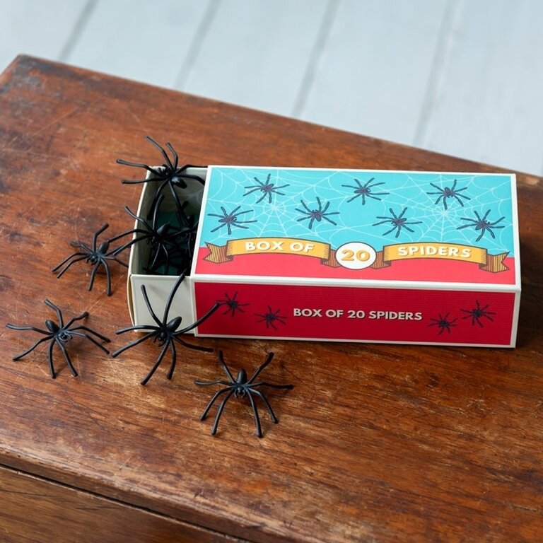 Rex London Rex London Box of Spiders (20)