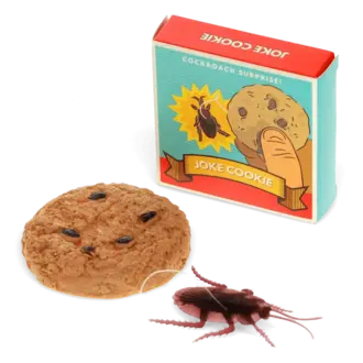 Rex London Rex London Classic Jokes Cookie