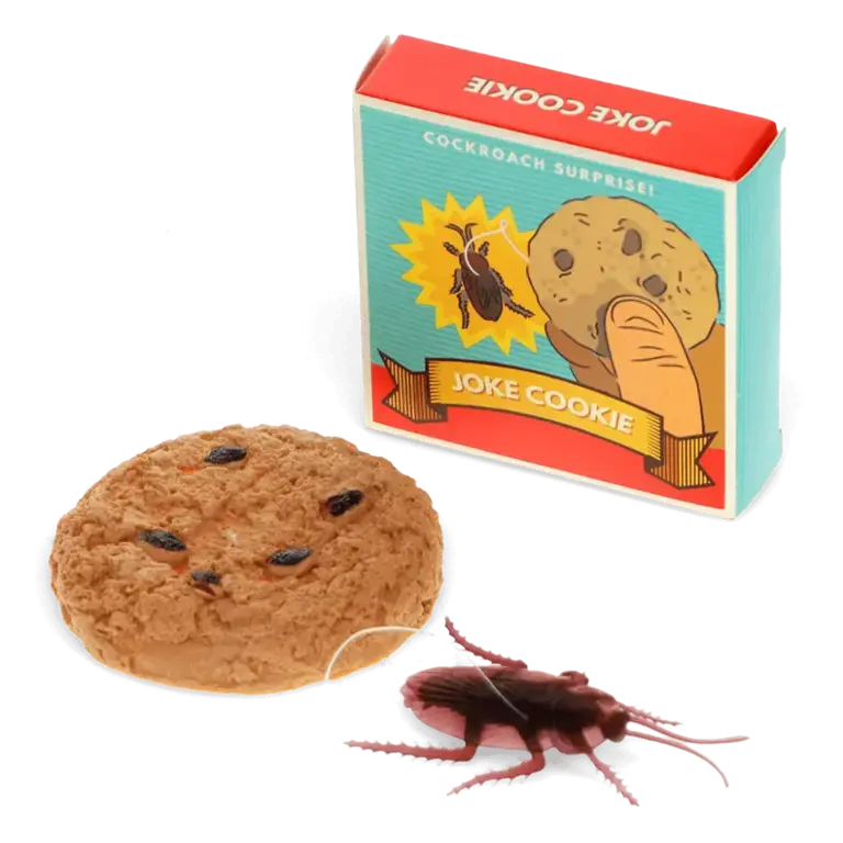 Rex London Rex London Classic Jokes Cookie