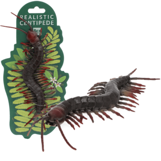 Rex London Rex London Wooden Realistic Centipede