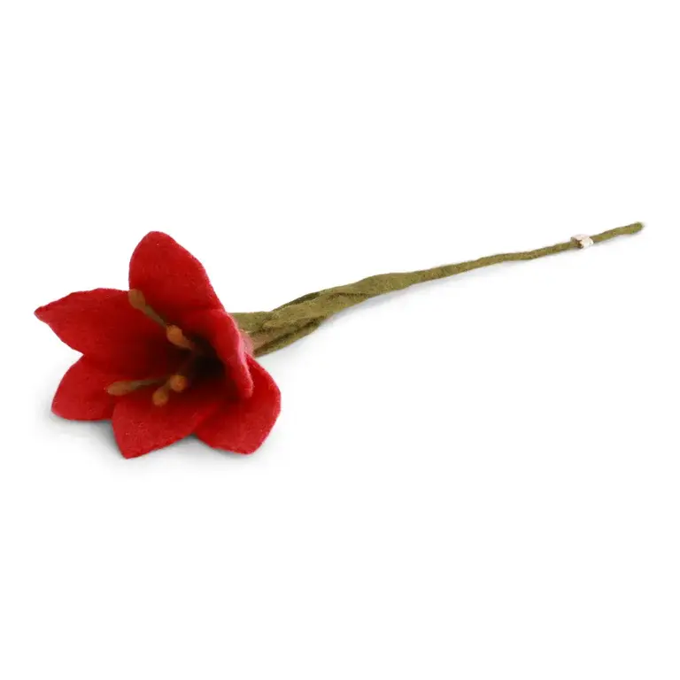 EGS EGS Fair Trade Trumpet Lily Melon