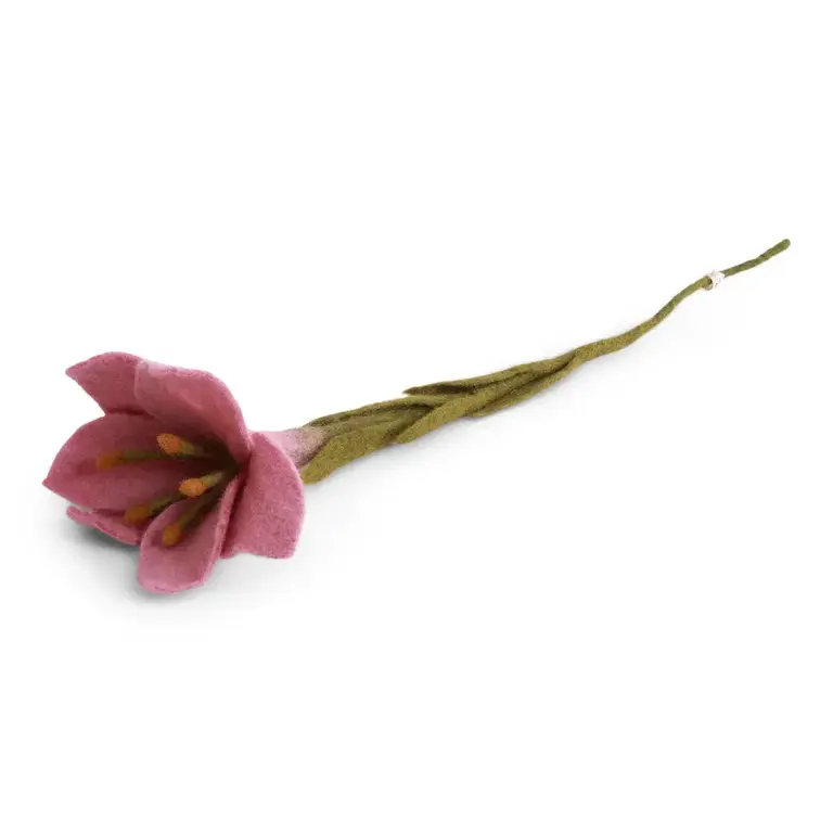 EGS EGS Fair Trade Trumpet Lily Dusty Red